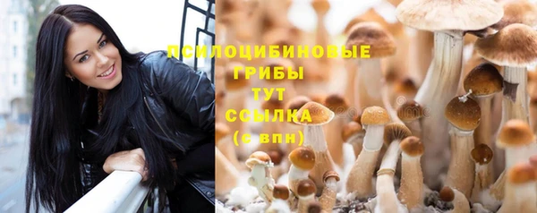 мдпв Каменка