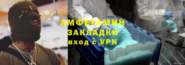 мдпв Каменка