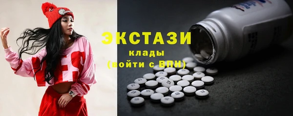 мдпв Каменка