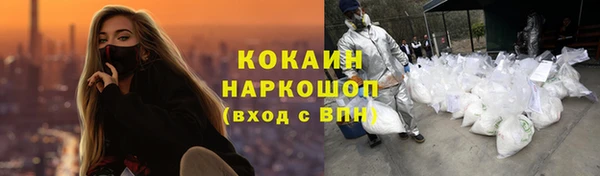 мдпв Каменка