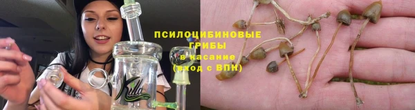 мдпв Каменка