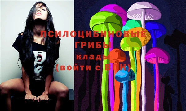 мдпв Каменка