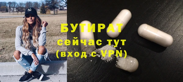 мдпв Каменка