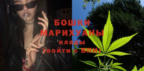 мдпв Каменка